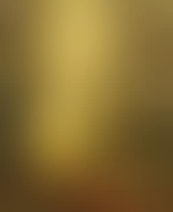 In Autumn's Golden Glow (preview)