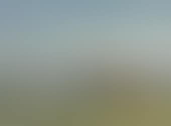Early Morning on Manton Downs (preview)