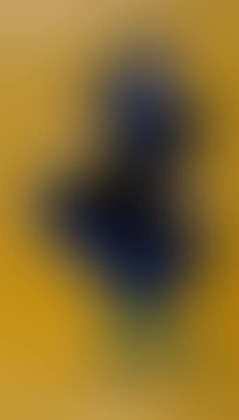 Figura (preview)