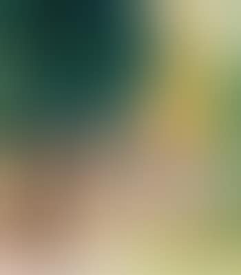 Saint-Tropez (preview)