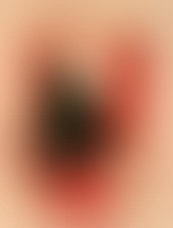 Marcos drip wood (preview)