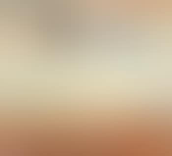 Flying Greylag Geese (preview)