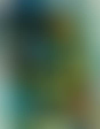 Composition (preview)
