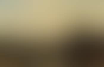 A forested landscape (preview)