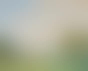 Hungarian Landscape (preview)