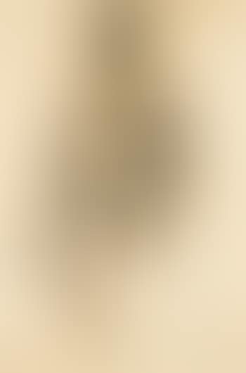 Woman with violin- portrait of Alix Maruchess (preview)