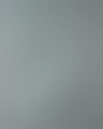 Oval gris (preview)