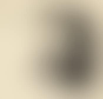 Abschied (preview)