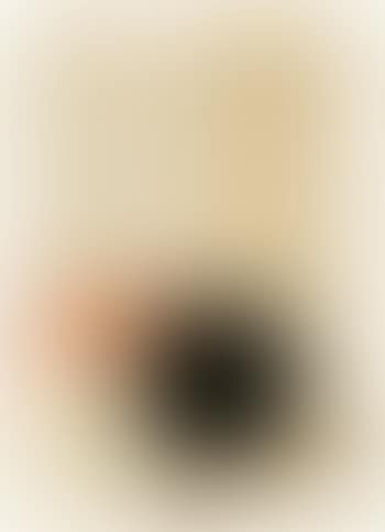 Schwarze scheibe (preview)