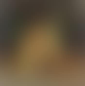 Stilleben mit pfirsichen (preview)