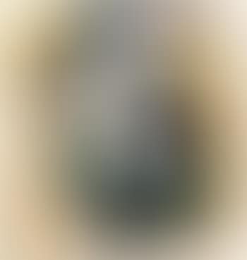 Nature Morte - Hommage à Flaubert (preview)