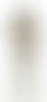 A sportsman (preview)