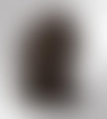 Autoportrait (preview)