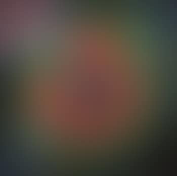 KVF VIII (preview)