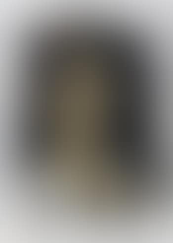 Portrait of a woman (preview)