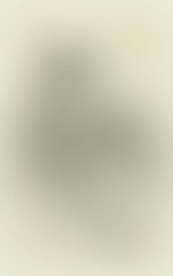 A group of four drawings, Japanese sumo wrestlers (preview)