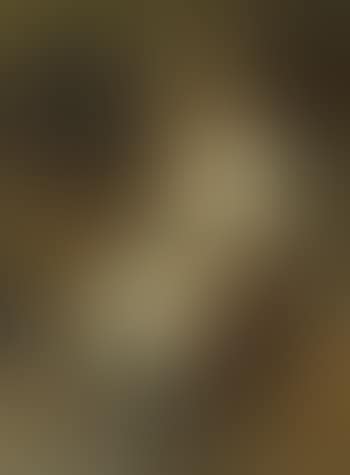 Portrait Of Madame Maria Rubin (preview)