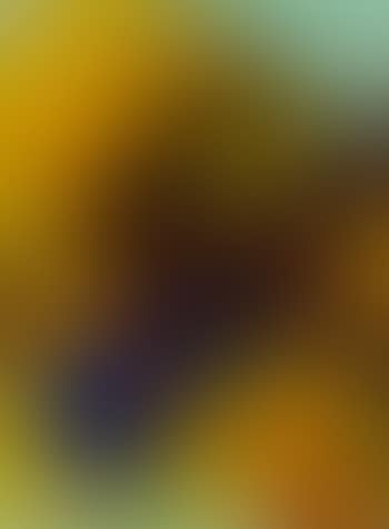 Ohne Titel (preview)