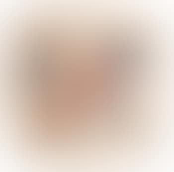 Painting Dutchman (preview)