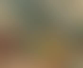 Paysage (preview)