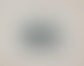 Kanarische Landschaftern II, plate C (B.32) (preview)