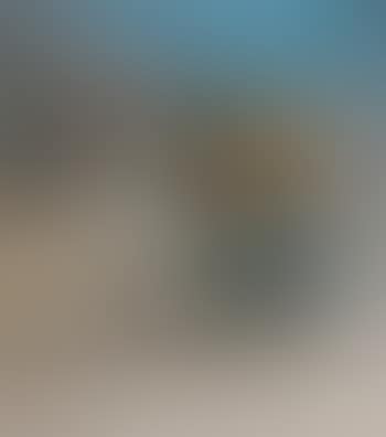 Chouette (preview)