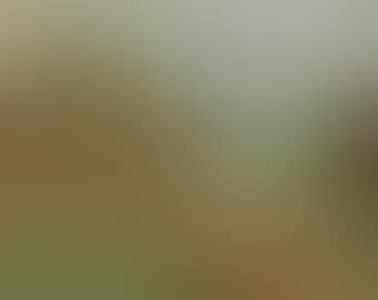 Autumn landscape (preview)