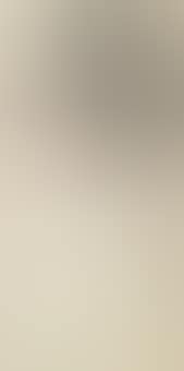 Bird on Pine Tree (preview)