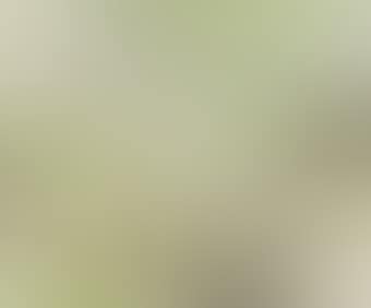 7.10.70 (preview)