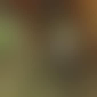 Selbstportrait (preview)