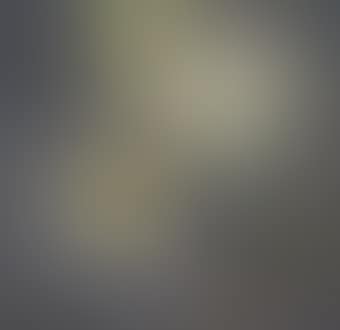 Still life (preview)