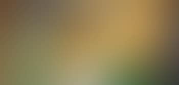 Composition vert et brun (preview)