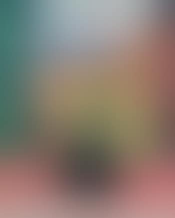 Untitled (Still Life) (preview)