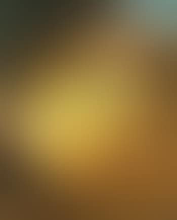Light In The Forest (preview)