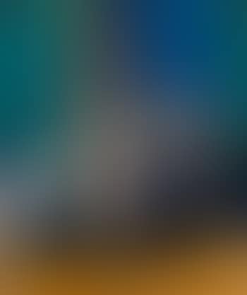 Still life with a vase (preview)