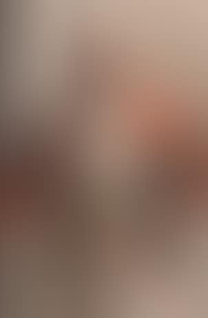 Bildnis eines Edelmanns (preview)