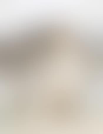 Sierre (preview)