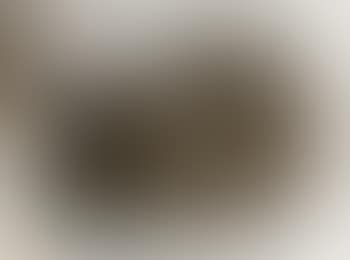 Sonno screpolato sdraiato (preview)
