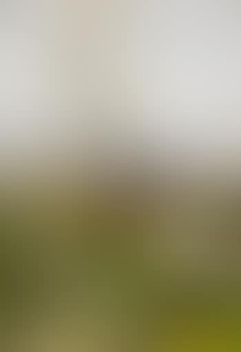 Herbstliche Wegpartie mit Kirchturm (preview)
