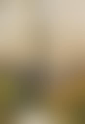 Herbstliche Waldpartie mit Staffage (preview)