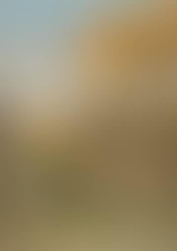 View of Abu el-Haggag mosque and Luxor temple (preview)