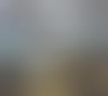 Friesländische Uferlandschaft (preview)
