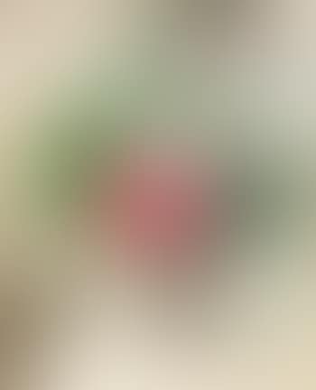 Still life with roses and gypsophila (preview)