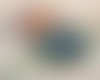 Still life with hepatica and oranges (preview)