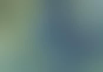 Galloping Horses (preview)