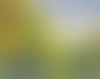 Epping Forest (preview)