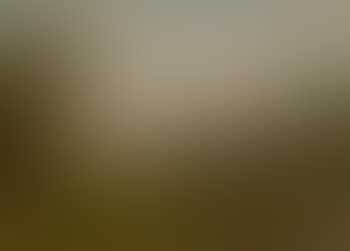 Wooded landscape with sheep (preview)