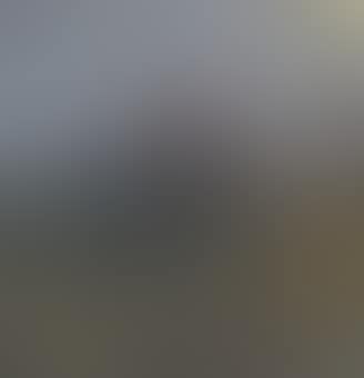 The evening hunt (preview)