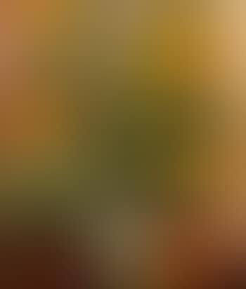 Still life sunflowers (preview)