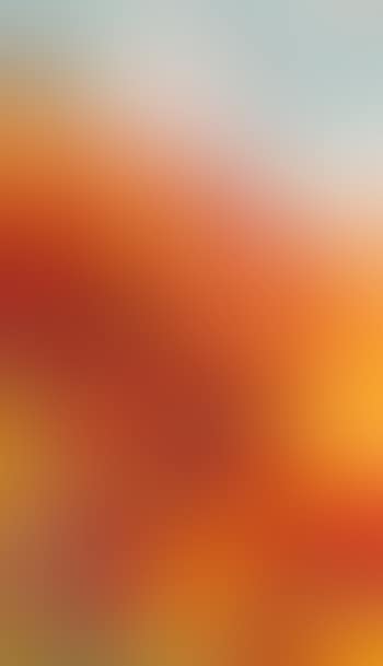 Poppies (preview)
